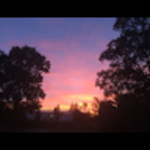 Meet your Posher, Jaime